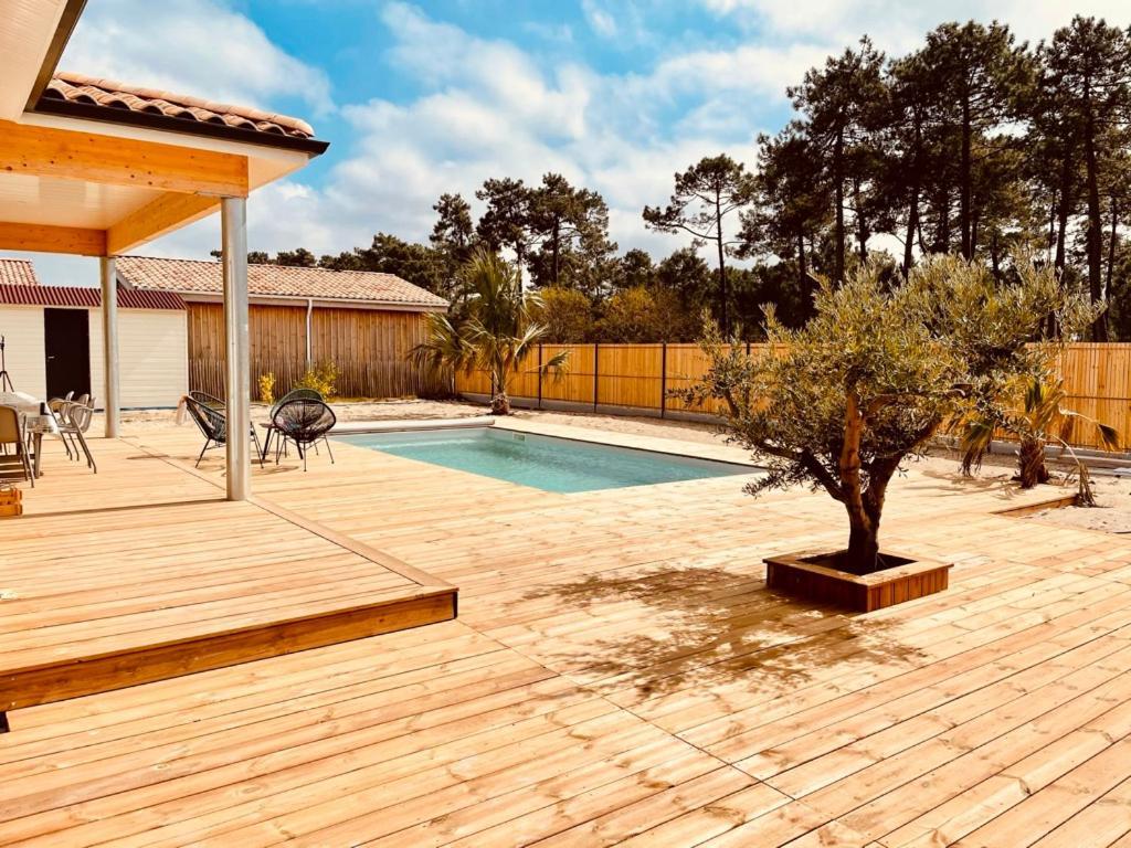 Villashomeclet - Villa Palm Beach Vensac Eksteriør billede